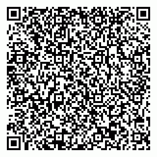 vCard 78045003106
