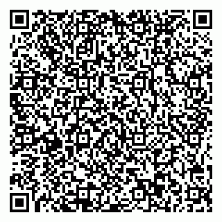 vCard 78045003107