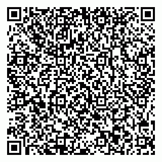 vCard 78045003113