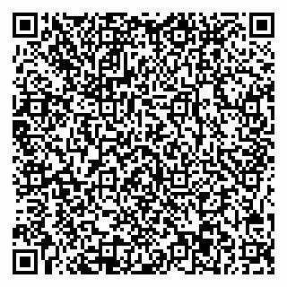 vCard 78045003115