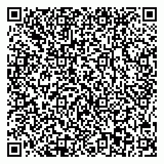 vCard 78045003119