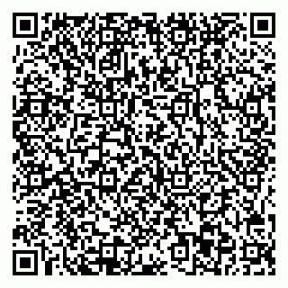 vCard 78045003129