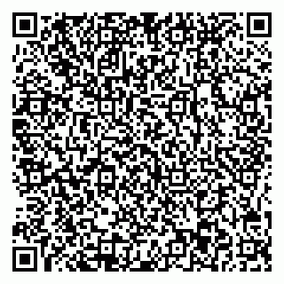 vCard 78045003131