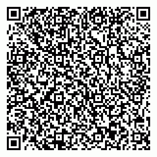 vCard 78045003132