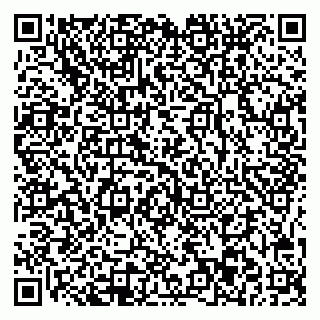 vCard 78045003133