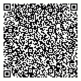vCard 78045003135