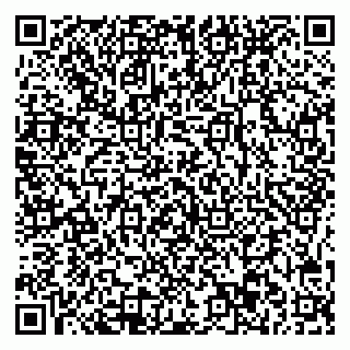 vCard 78045003137