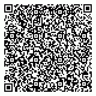 vCard 78045003138