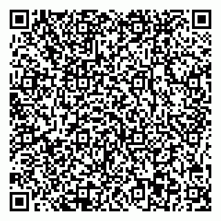 vCard 78045003139