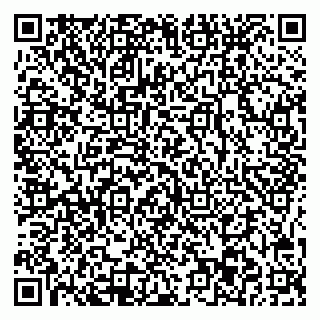 vCard 78045003151
