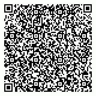 vCard 78045003153