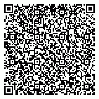 vCard 78045003172