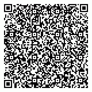vCard 78045003181