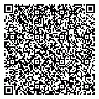 vCard 78045003183