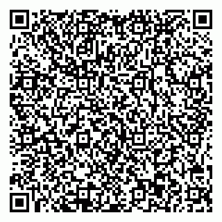vCard 78045003194