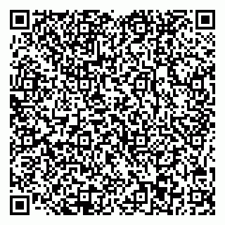vCard 78045003229