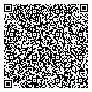 vCard 78045003231