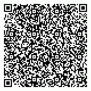 vCard 78045003233