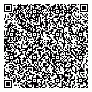 vCard 78045003241