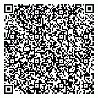 vCard 78045003247