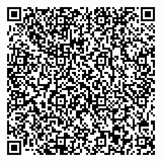 vCard 78045003248
