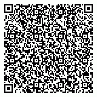 vCard 78045003251