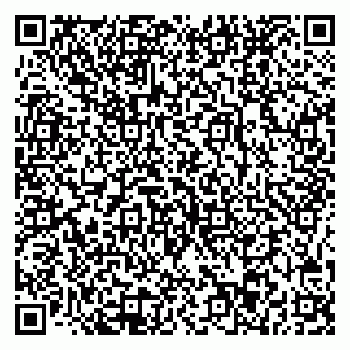 vCard 78045003273