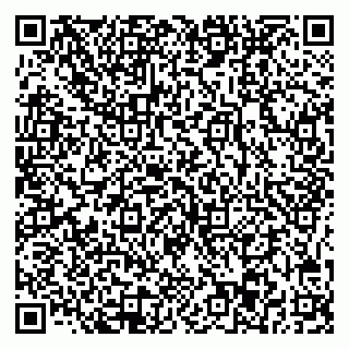 vCard 78045003281