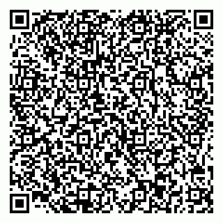 vCard 78045003291