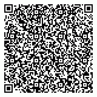 vCard 78045003303