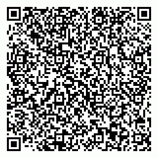 vCard 78045003308