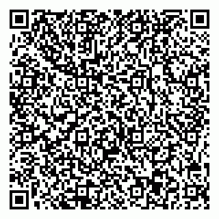 vCard 78045003381
