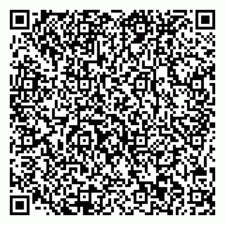 vCard 78045003504