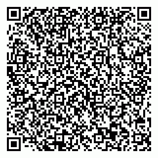 vCard 78045003506