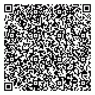 vCard 78045003509