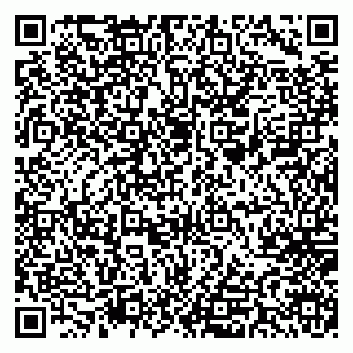 vCard 78045003530