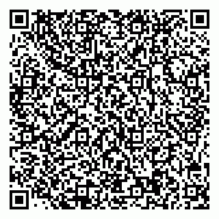 vCard 78045004196