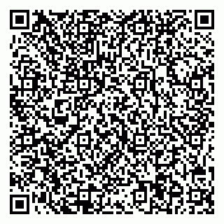 vCard 78045004739