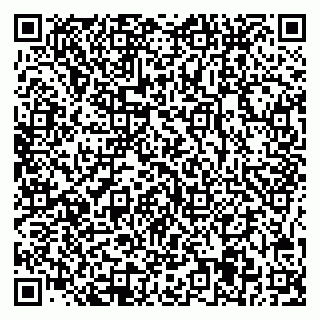 vCard 78045005039