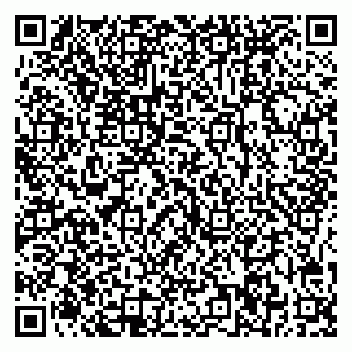 vCard 78045006039