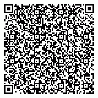 vCard 78045006639