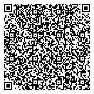 vCard 78045006839