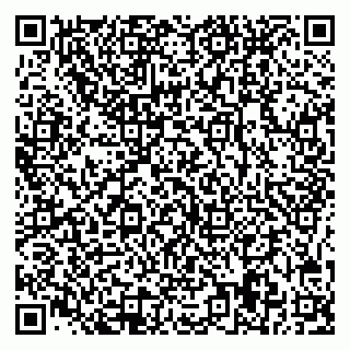 vCard 78045009039