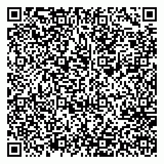vCard 78045009539