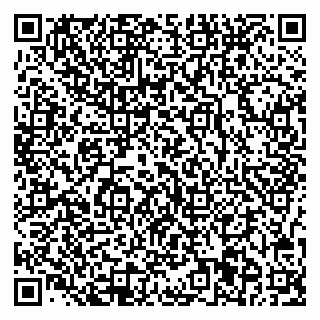 vCard 78047001739