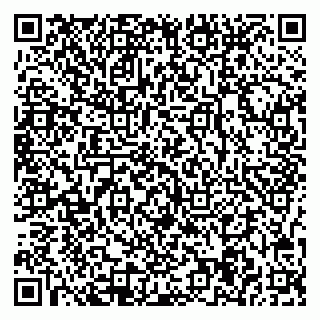 vCard 78047004010