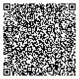 vCard 78047005203