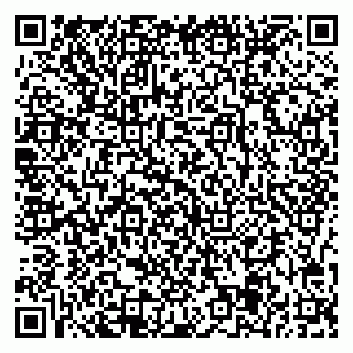 vCard 78047005204