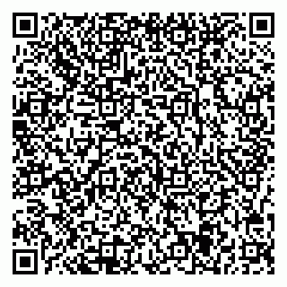 vCard 78047005233