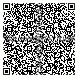 vCard 78047006131